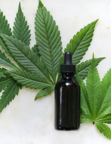 Hanf in der Medizin Vorschau