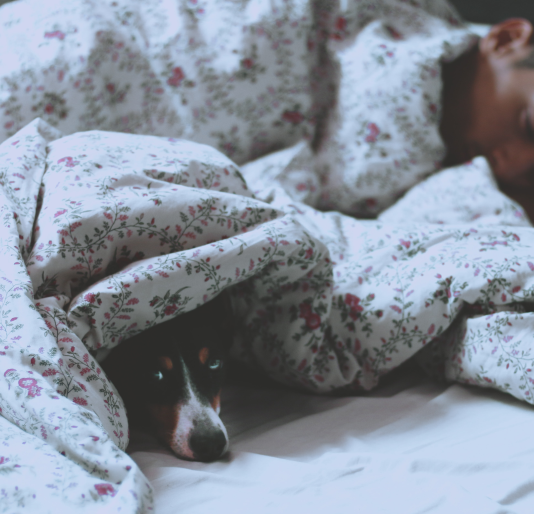 Schlafstörungen CBD Öl