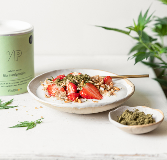 hanfprotein hanfprotein