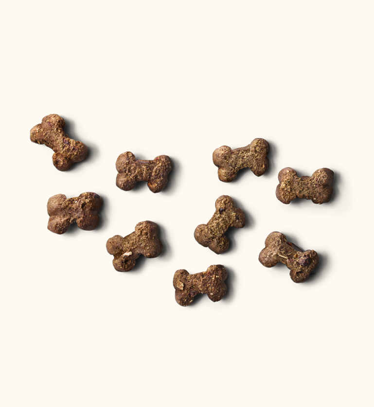 Bio power Snack pico bello