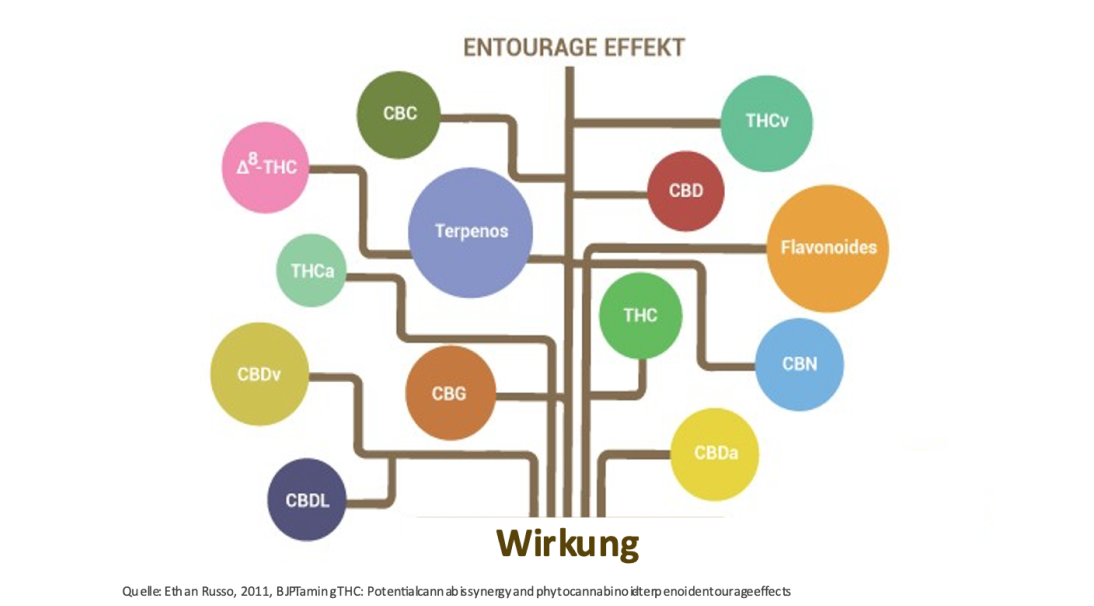 entourageeffekt cbd depression entourageeffekt cbd depression