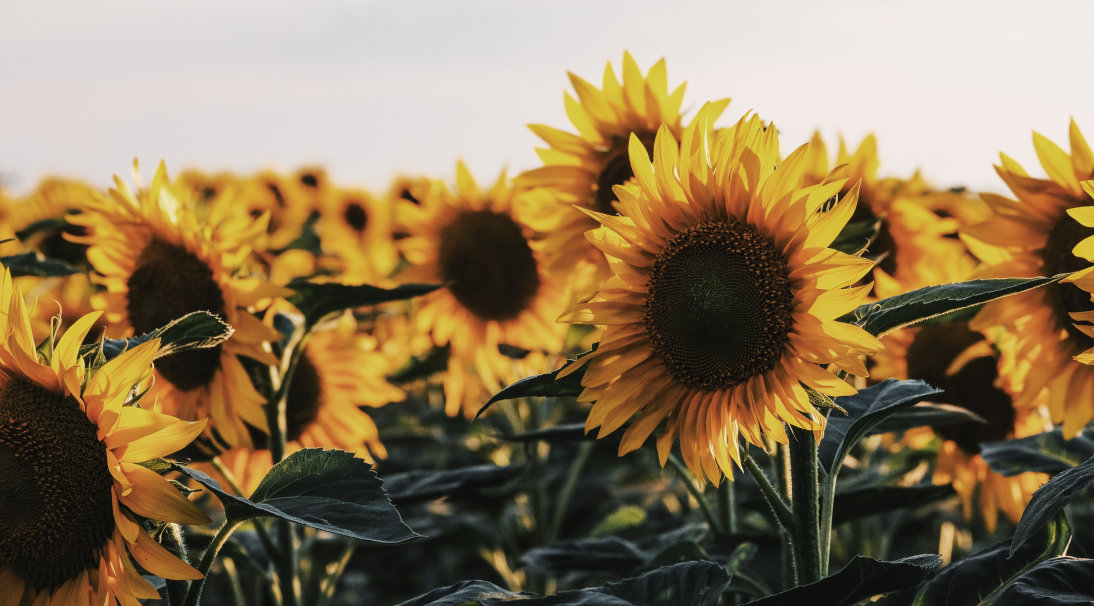 wie-geht-man-mit-depressiven-mitmenschen-um wie-geht-man-mit-depressiven-mitmenschen-um