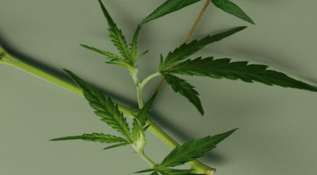 Bildschirmfoto 2021-05-19 um 14.47 1 (1)