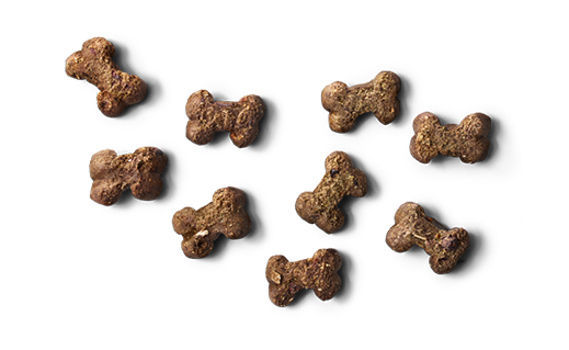 CBD Hanfprodukte für Tiere – Für das Beste in Tier.