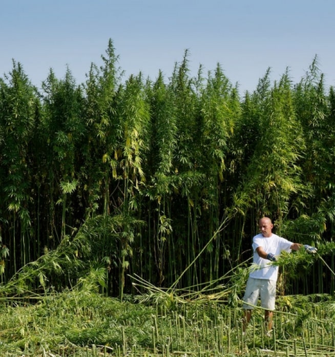 Produkte aus eigener Herstellung