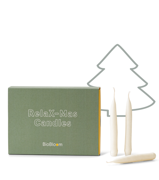 Bio RelaX-Mas Kerze - 6 Stück