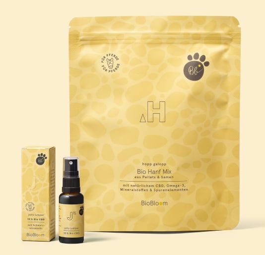 Bio CBD Hanfprodukte für Pferde